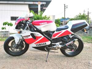 YAMAHA