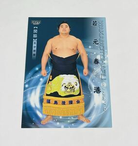 BBM2024 大相撲カード 響 SUMO CARDS レギュラーカード 若元春