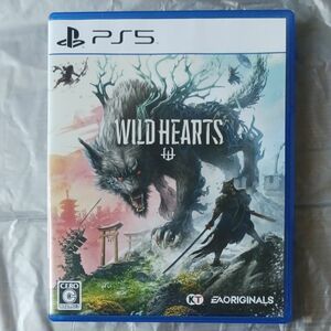 ワイルドハーツ WILD HEARTS PS5