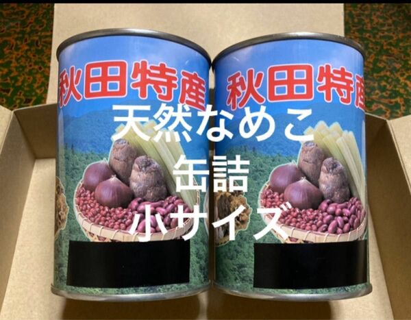 秋田県湯沢市産 天然小なめこ 缶詰