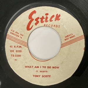 TONY SCOTT / WHAT AM I TO DO NOW / YOU STILL GOT THAT SMILE (7インチシングル)