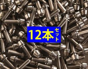 64チタンボルトM5×16ｍｍ シルバー12本ステム用【1.9g/本】