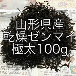 乾燥ゼンマイ 【極太 】100g 山形県産 ぜんまい 山菜 野菜