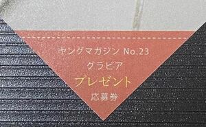 ヤングマガジン23号 篠崎愛　直筆サイン入りチェキプレゼント応募券　①