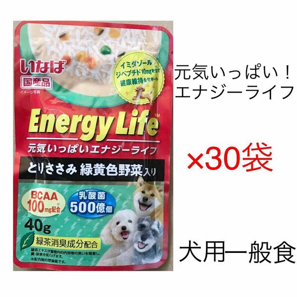 いなば 送料無料!エナジーライフ とりささみ緑黄色野菜入り　40g×30 国産品　犬用おやつ　ドッグフード ウェットフード パウチ 2024年9月