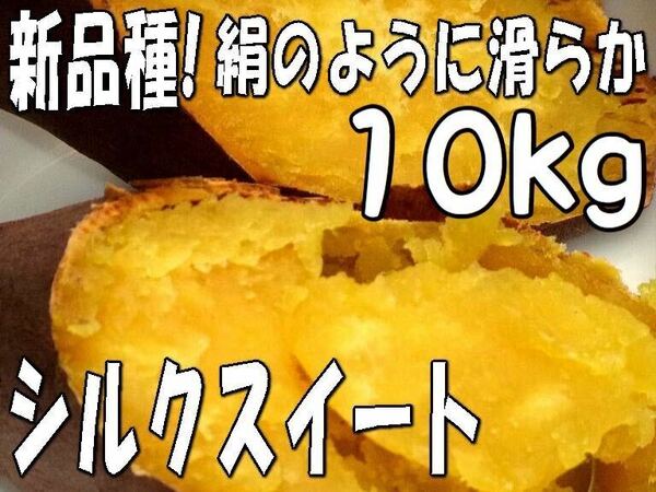 10kg【シルクスイート】超希少☆新品種☆しっとり滑らか甘いさつまいも