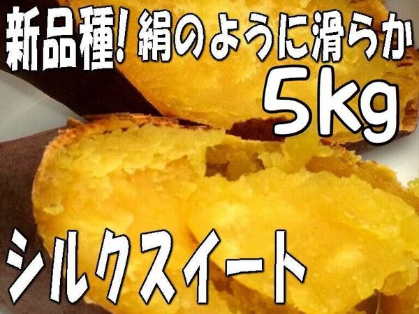 5kg【シルクスイート】超希少☆新品種☆しっとり滑らか甘いさつまいも