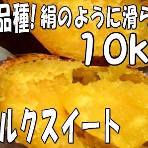 10kg【シルクスイート】超希少☆新品種☆しっとり滑らか甘いさつまいも