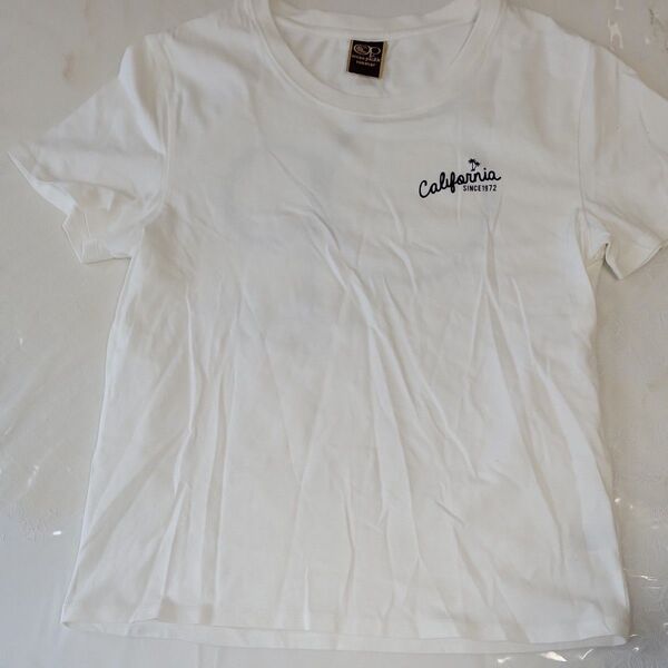 オーシャンパシフィック 半袖 Tシャツ
