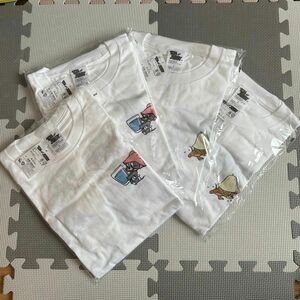 写真の4枚 tシャツ （全Lサイズ）