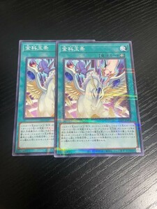 4-2遊戯王　金科玉条　ノーパラ　２枚