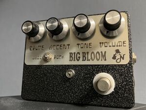 Amplified Nation Big Bloom Overdrive Dumble