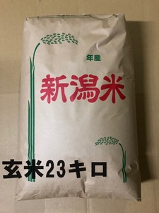 ※送料無料※即決※令和５年　新潟産コシヒカリ　玄米23kg　 ※生産農家直販 ※※玄米用保冷庫保管※※