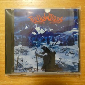 41099738;【CD/国産メロデス】FOLLOWBANE / AT THE BLIZZARD END...の画像1