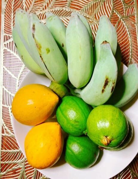 プレゼントやお土産にも！沖縄産人気のアップルバナナ、グァバ 、カニステル３種レアなフルーツセット！！