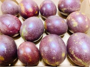  appearance . bad however beautiful taste ..!! Okinawa production passionfruit pesticide un- use! compact . tightly!! processing for . trial . recommended!