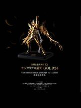 新品未開封 聖闘士聖衣神話EX サジタリアス 星矢 GOLD24 魂ネイション 2020 当選購入品_画像1