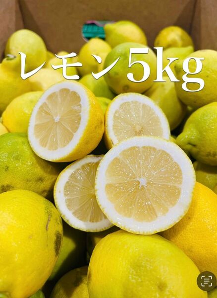 レモン　ノンケミレモン　5kg