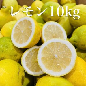 レモン　ノンケミレモン　10kg