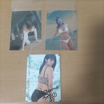 トレカ　グラビアアイドル　タレント　磯山さやか　プリント金箔サイン　カードコレクション　フィルムカード　セクシー水着　貴重品３枚_画像1