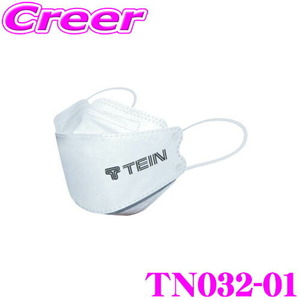 TEIN マスク 10枚入り 白 立体不織布 TN032-01 ∴