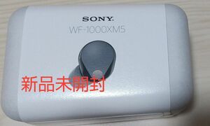 SONY WF-1000XM5 ブラック