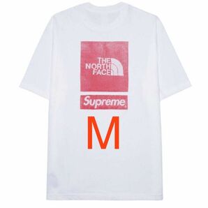 Supreme x The North Face S/S Top "White"