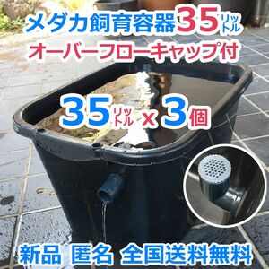 メダカ飼育容器【35㍑ 黒3個 オーバーフローキャップ付】メダカ飼育ケース 針子 金魚 産卵 タライ ビオトープ 【五色アクア】