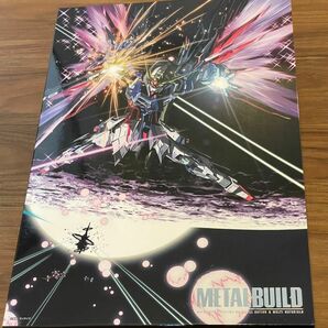 【開封品】METAL BUILD デスティニーガンダム フルパッケージ 光の翼オプションセット 機動戦士ガンダムSEED