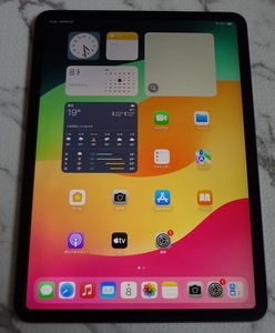 iPad Pro11 A1980 Wi-Fi 64G 11インチ 第一世代 スペースグレイ 動作品 ジャンク扱い