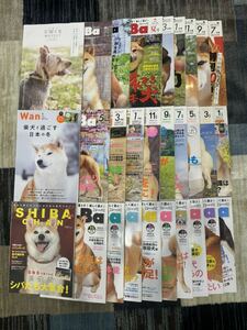 Shi-Ba シーバ　26冊　＋3冊　柴犬　雑誌