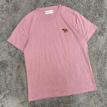 Abercrombie&Fitch アバクロ Tシャツ 半袖カットソー サイズXL ピンク メンズ トップス 最落なし （R19）_画像1