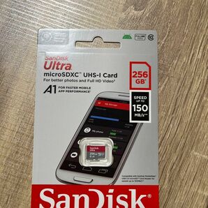 SannDisk 256GB 