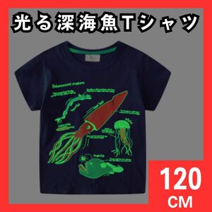 11 光る深海魚Tシャツ 120cm　キッズ　 Tシャツ　男の子　半袖　夏　パジャマ　外出　旅行　保育園　幼稚園　お昼寝　水族館