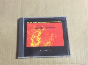 CD Reggie Workman / Cerebral Caverns 送料無料 輸入盤 フリージャズ Sam Rivers / Geri Allen