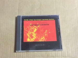 CD Reggie Workman / Cerebral Caverns 送料無料 輸入盤 フリージャズ Sam Rivers / Geri Allen 