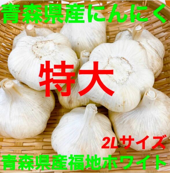 青森県産にんにく特大玉1kg