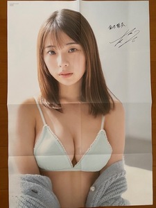 * prompt decision *. ground .. extra-large both sides poster ⑭ * autographed *