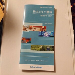 株主優待　西武ホールディングス　300株～500株未満の株主さまご優待冊子1冊　未使用　2024年11月30日迄　非売品　ゆうパケットポスト