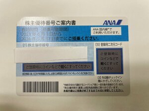 ANA株主優待券 2024年5月31日まで 【株主優待券】