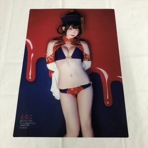 B19206 ◆えなこ　セブンネット特典 A4サイズ クリアポスター