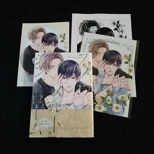 5 месяц новый .*[snou melt sin draw m]* Tenno храм Mio * comicomi Studio компенсация 12P маленький брошюра * Lee порожек *.-pa- имеется 