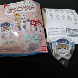 モフサンド ピタコット フグにゃん 送料込 同梱のみ値引可 必ず購入手続き前にご相談ください クーポン適用価格