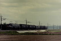 (B23)854 写真 古写真 鉄道 鉄道写真 お召し列車 御召列車 日の丸列車 1996年10月24日 フィルム ネガ まとめて 17コマ _画像7