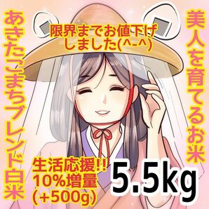 ★生活応援１０％(５００g)増量★令和５年産秋田県産あきたこまち５０％使用 ｢あきたこまちブレンド白米｣合計（５.５kg）送料込み