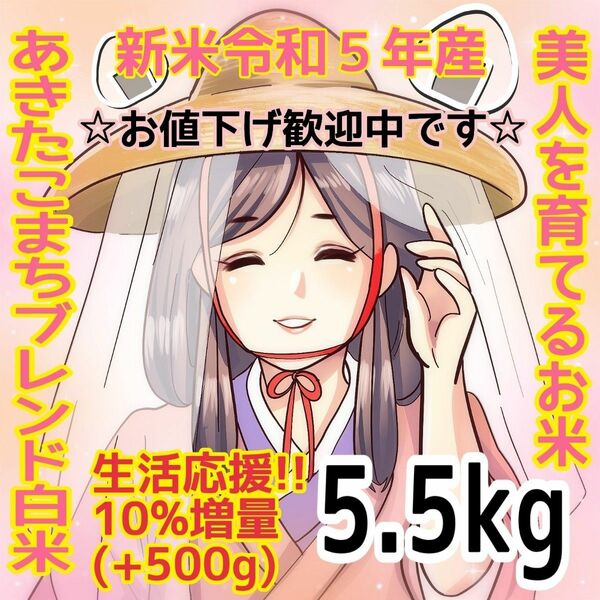 ★生活応援１０％(５００g)増量★令和５年産秋田県産あきたこまち５０％使用 ｢あきたこまちブレンド白米｣合計（５.５kg）送料込み