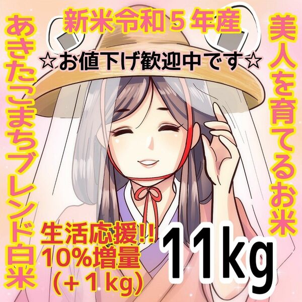 ★生活応援１０％(１kg)増量★令和５年産秋田県産あきたこまち５０％使用 ｢あきたこまちブレンド白米｣合計（１１kg）送料込み★