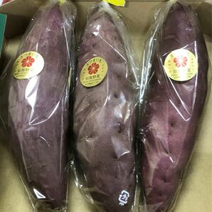 加賀野菜　五郎島金時芋3本セット　Ｌサイズ秀品コンパクトボックス対応