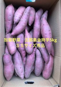 加賀野菜　五郎島金時芋5kg箱　ＳＳサイズ秀品