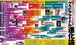 【切り抜き】永久保存版グラビアアイドル進化論20年の栄枯盛衰[堂々たる巨乳の歴史]/花井美理/アイドル食虫花雑誌広告/辛酸なめ子/357